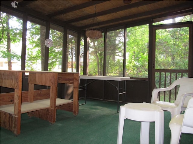 sunroom / solarium with carpet
