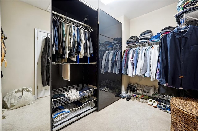 spacious closet featuring carpet