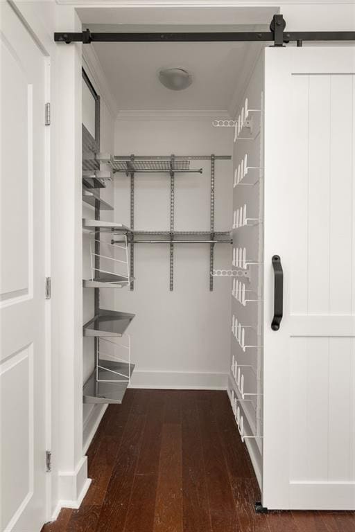 walk in closet featuring a barn door and hardwood / wood-style flooring