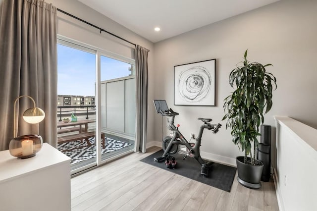 workout area featuring light hardwood / wood-style floors