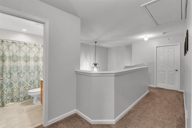 bar featuring carpet flooring and baseboards