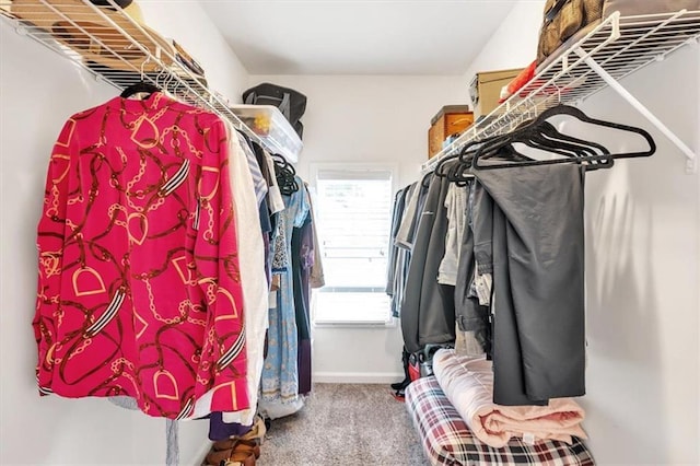 walk in closet featuring carpet