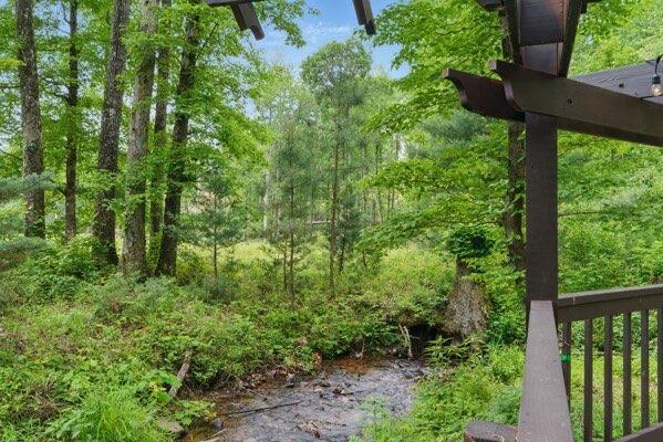 230 Old Mill White Ext, Jasper, GA 30143 - view of yard featuring a wooded view