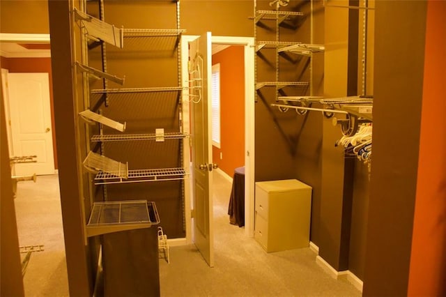 spacious closet featuring carpet floors