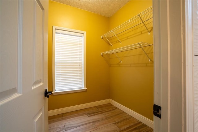 walk in closet with wood-type flooring