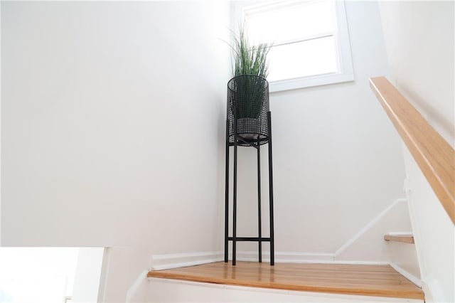 stairway featuring wood-type flooring