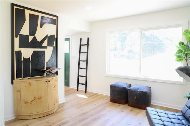 living area featuring hardwood / wood-style floors