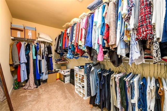 spacious closet featuring carpet flooring