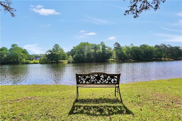 70 Lake Charles Xing, Covington, GA 30016 - water view
