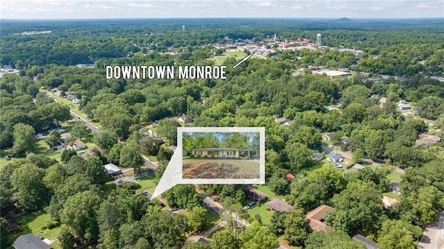 312 Glen Iris Dr, Monroe, GA 30655 - drone / aerial view of a forest