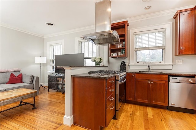 kitchen with island range hood, stainless steel appliances, a sink, open floor plan, and open shelves