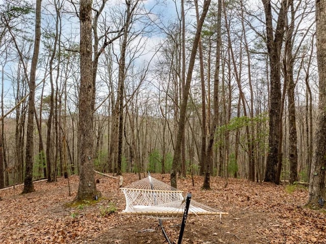 view of yard featuring a view of trees