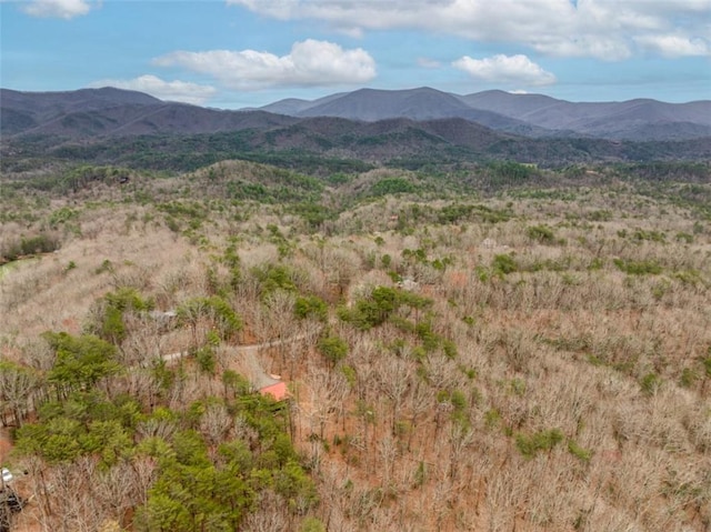 property view of mountains