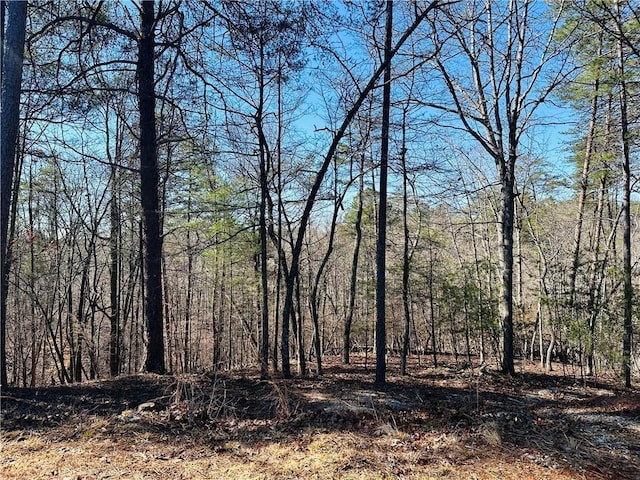 LOT20 Crown Mountain Way, Dahlonega GA, 30533 land for sale