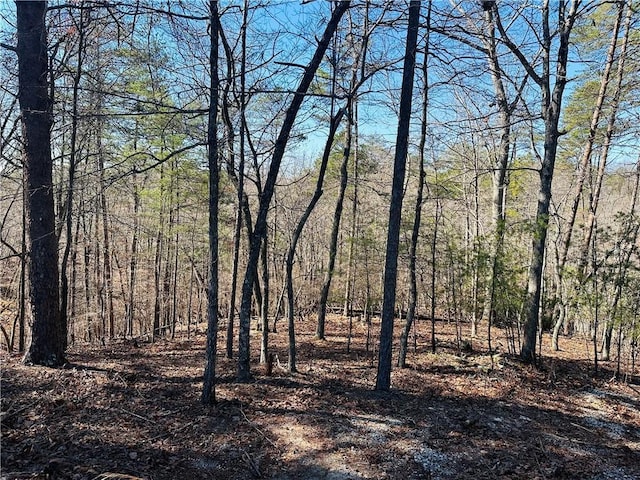 Listing photo 2 for LOT20 Crown Mountain Way, Dahlonega GA 30533