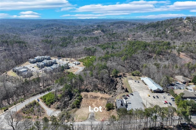 1392 S Chestatee St, Dahlonega, GA 30533
