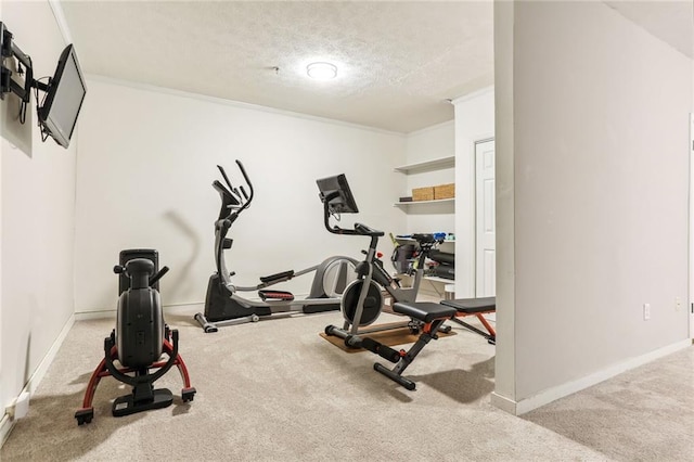 1209 Brookhaven Woods Ct NE, Brookhaven, GA 30319 - exercise room with carpet flooring, baseboards, a textured ceiling, and ornamental molding