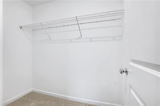 spacious closet featuring carpet floors