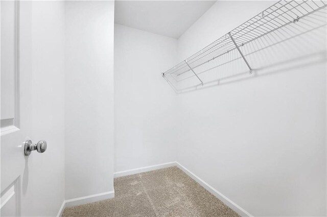 spacious closet with carpet floors