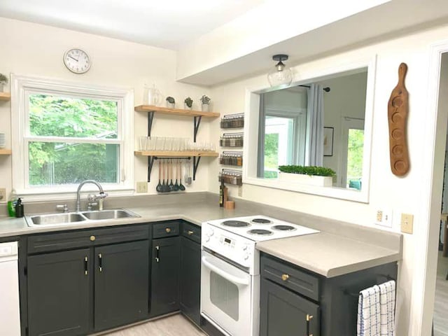 kitchen with light hardwood / wood-style flooring, sink, and white appliances