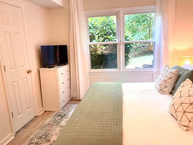 bedroom featuring light wood-type flooring