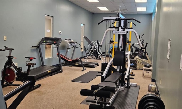 gym featuring a drop ceiling and carpet