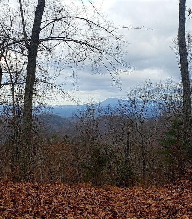 view of mountain feature