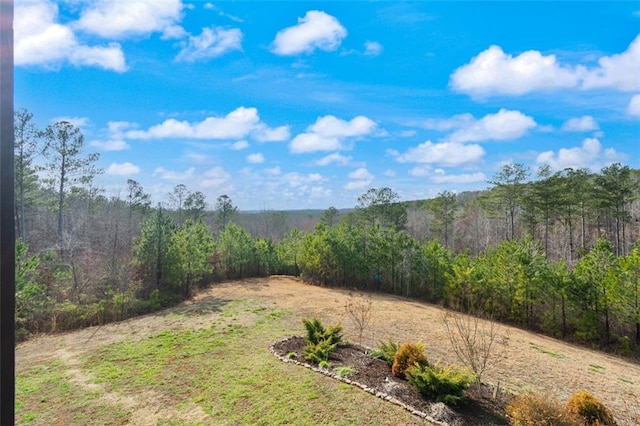 view of yard featuring a view of trees