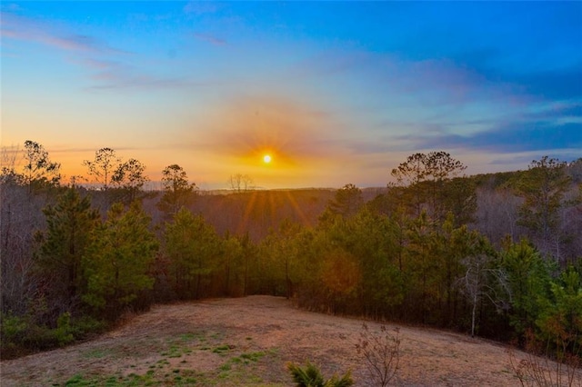 view of nature with a wooded view