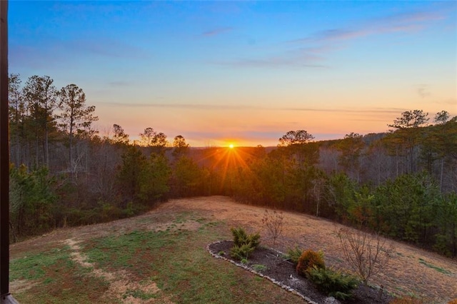 view of yard featuring a wooded view