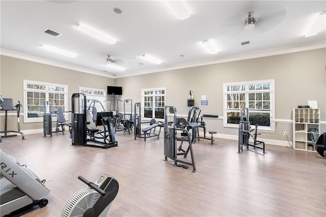 7262 Creekside Way, Jefferson, GA 30549 - gym with a ceiling fan, wood finished floors, crown molding, and plenty of natural light