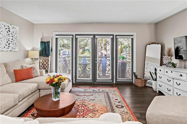 living room with dark hardwood / wood-style floors and a wealth of natural light