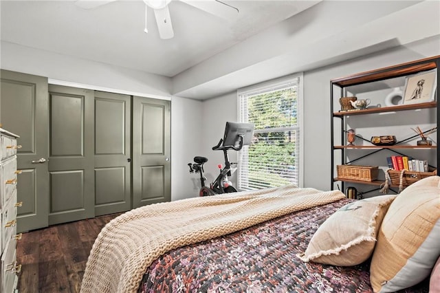 bedroom featuring dark hardwood / wood-style floors, a closet, and ceiling fan