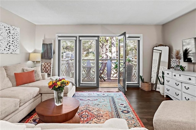 living room with dark hardwood / wood-style flooring