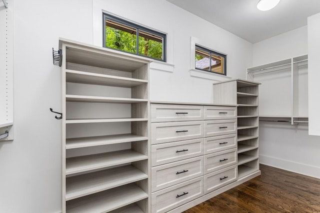 1461 Bubbling Creek Rd NE, Brookhaven, GA 30319 - walk in closet featuring dark wood-style floors