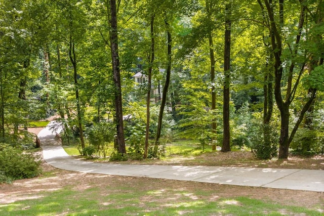1461 Bubbling Creek Rd NE, Brookhaven, GA 30319 - surrounding community featuring a view of trees