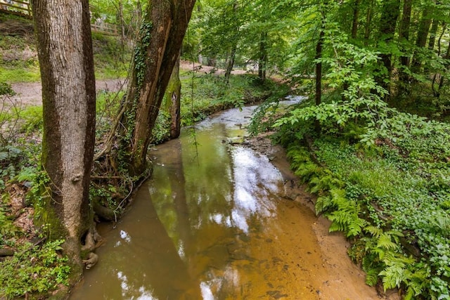 1461 Bubbling Creek Rd NE, Brookhaven, GA 30319 - water view