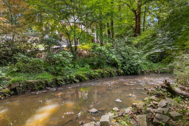 1461 Bubbling Creek Rd NE, Brookhaven, GA 30319 - view of undeveloped land