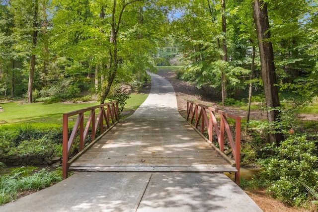 1461 Bubbling Creek Rd NE, Brookhaven, GA 30319 - view of community