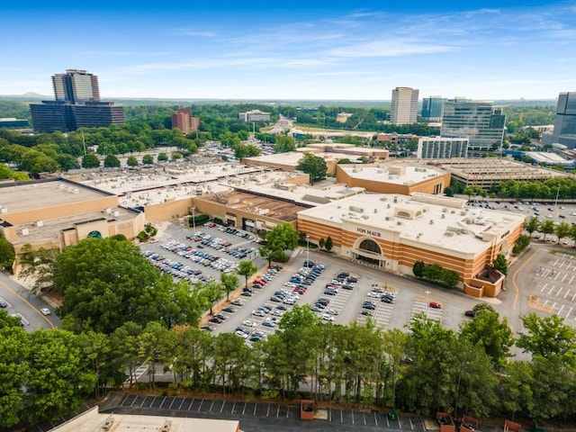1461 Bubbling Creek Rd NE, Brookhaven, GA 30319 - view of urban area