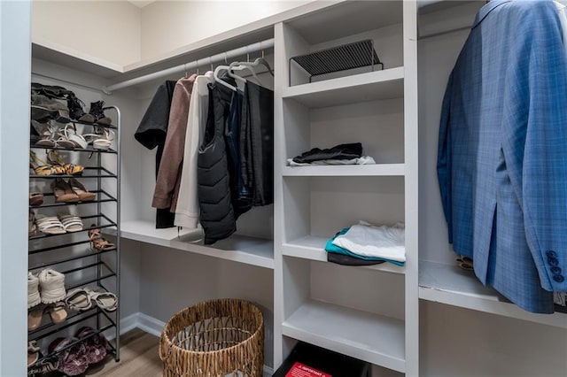 spacious closet with hardwood / wood-style floors