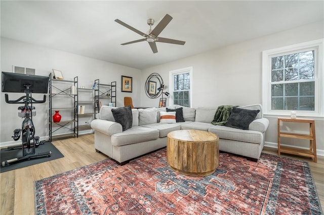 living room with ceiling fan and wood-type flooring