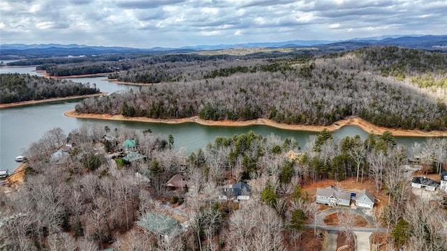 drone / aerial view with a view of trees and a water and mountain view