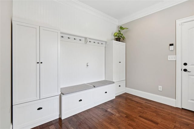 mudroom featuring crown molding and dark wood-type flooring