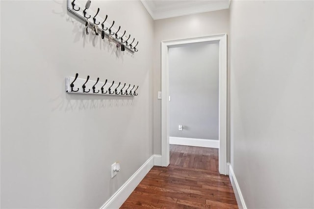 hall featuring dark hardwood / wood-style floors and crown molding