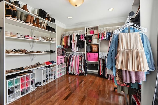 spacious closet with dark wood-type flooring