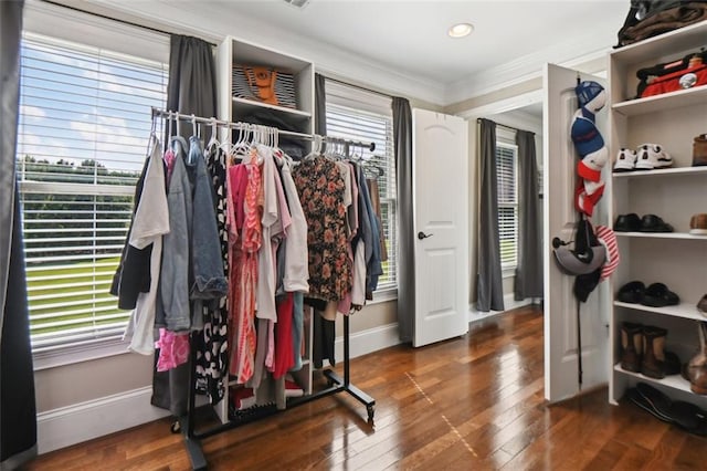 walk in closet with dark hardwood / wood-style flooring