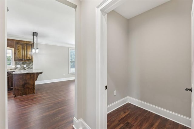 corridor with crown molding and dark hardwood / wood-style flooring