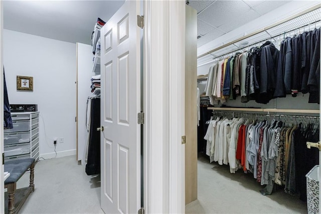 walk in closet featuring carpet flooring