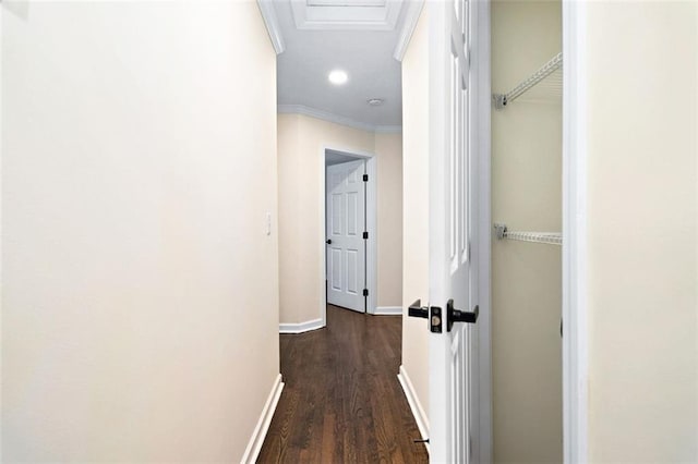 hallway featuring dark wood-type flooring and ornamental molding